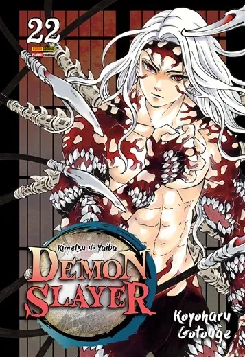 Demon Slayer - Kimetsu no Yaiba - Vol. 22