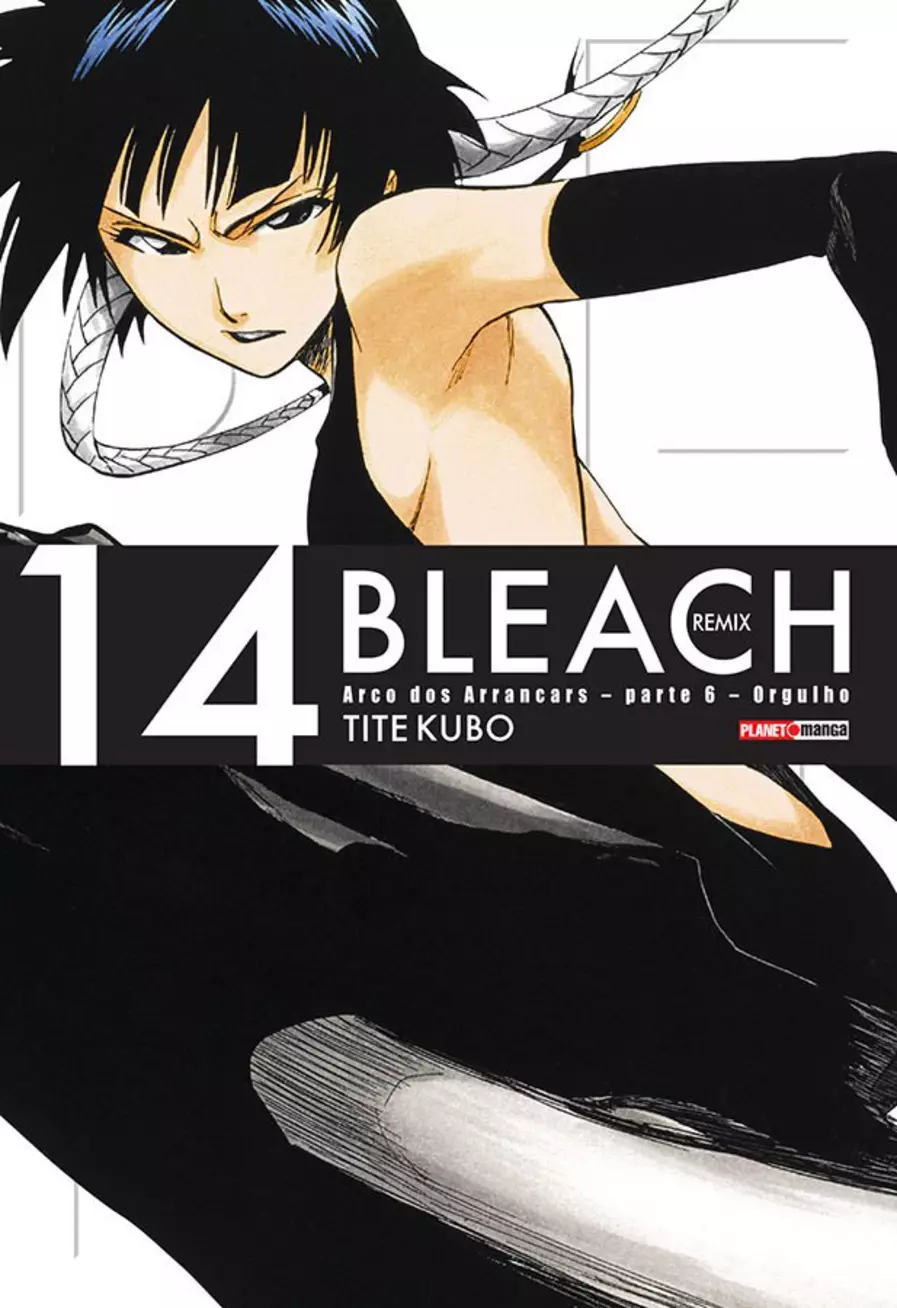 Bleach - Vol. 14