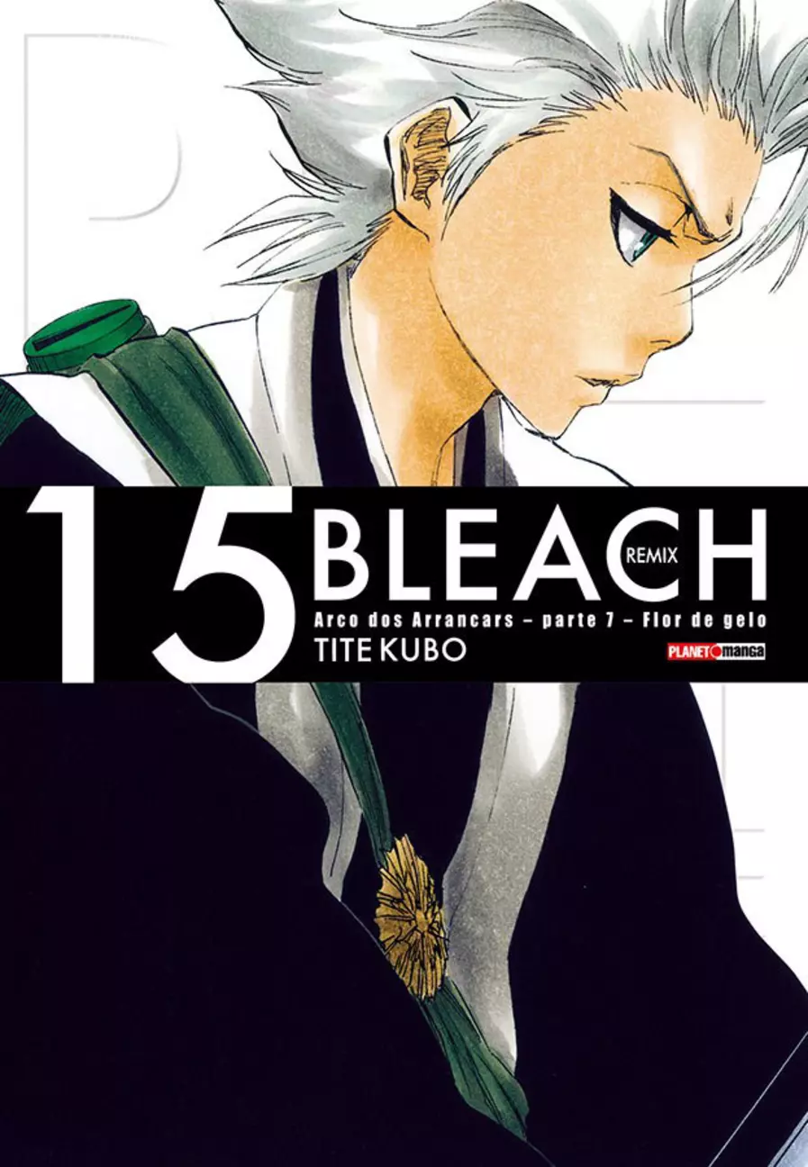 Bleach - Vol. 15