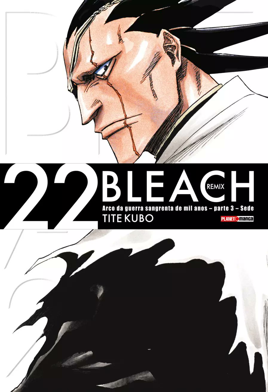 Bleach - Vol. 22