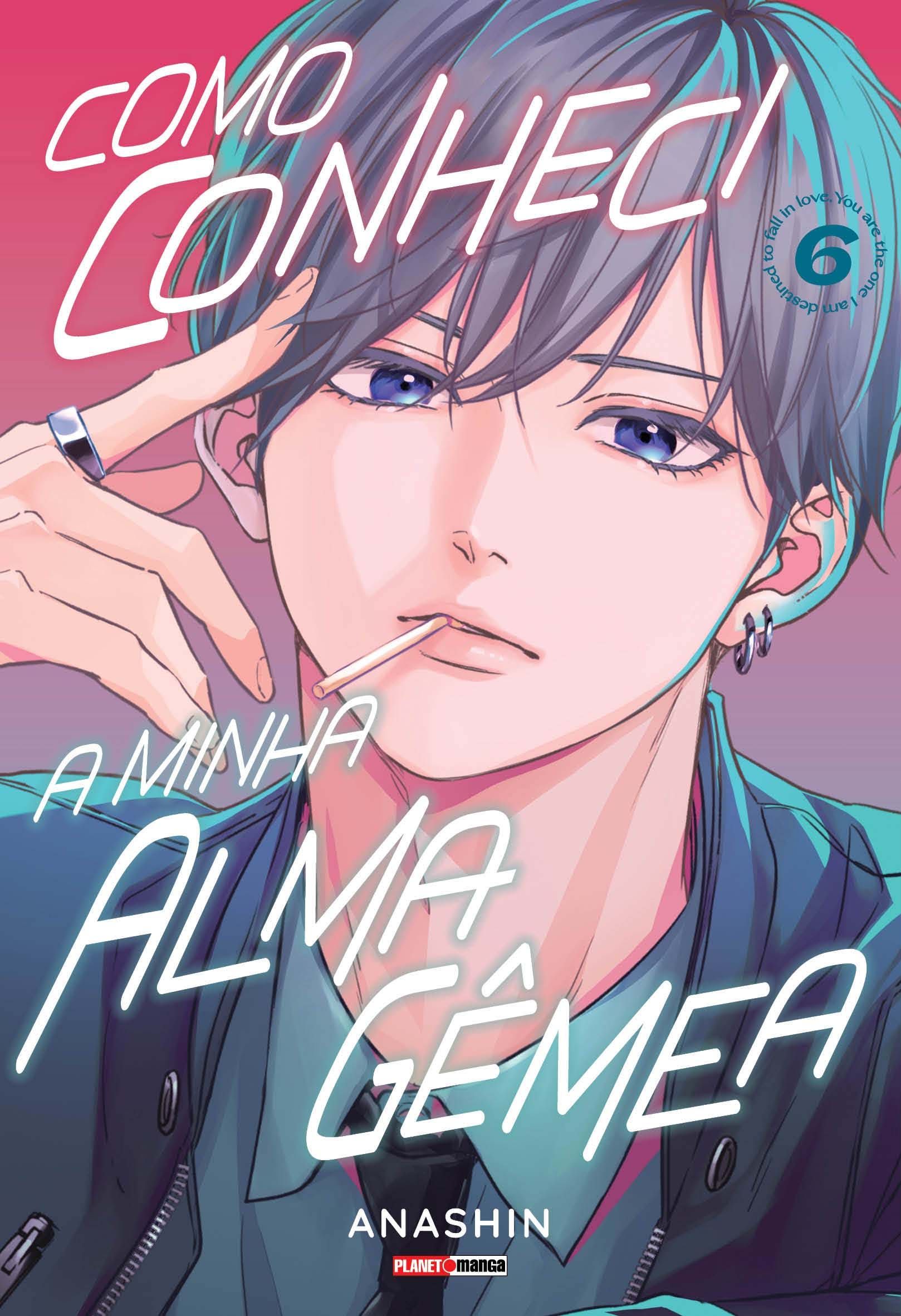 Como Conheci A Minha Alma Gêmea - Vol. 6