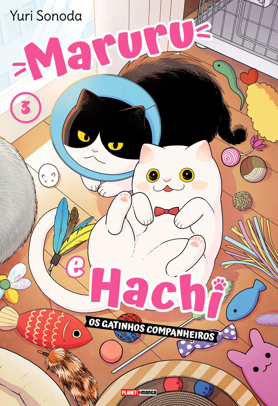 Maruru E Hachi: Os Gatinhos Companheiros - Vol. 3