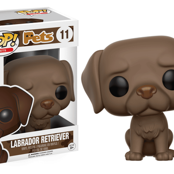 Imagem do Pets - Labrador Retriever (Choc) 11 0.00