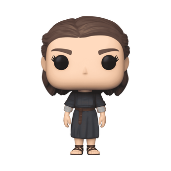 Imagem do Pop! Many Faced Arya Stark 89 0.00